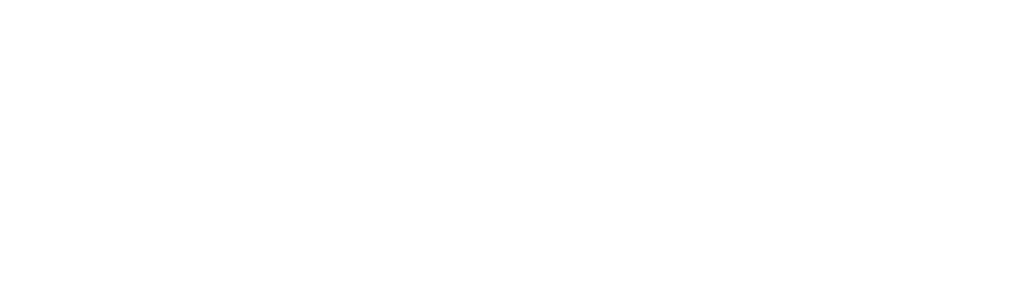 CARNIVAL FRIES